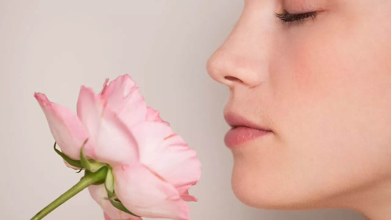 when the ability to smell goes away when the ability to smell goes away 6C974529C83B98E11E044B7C6CD411EF