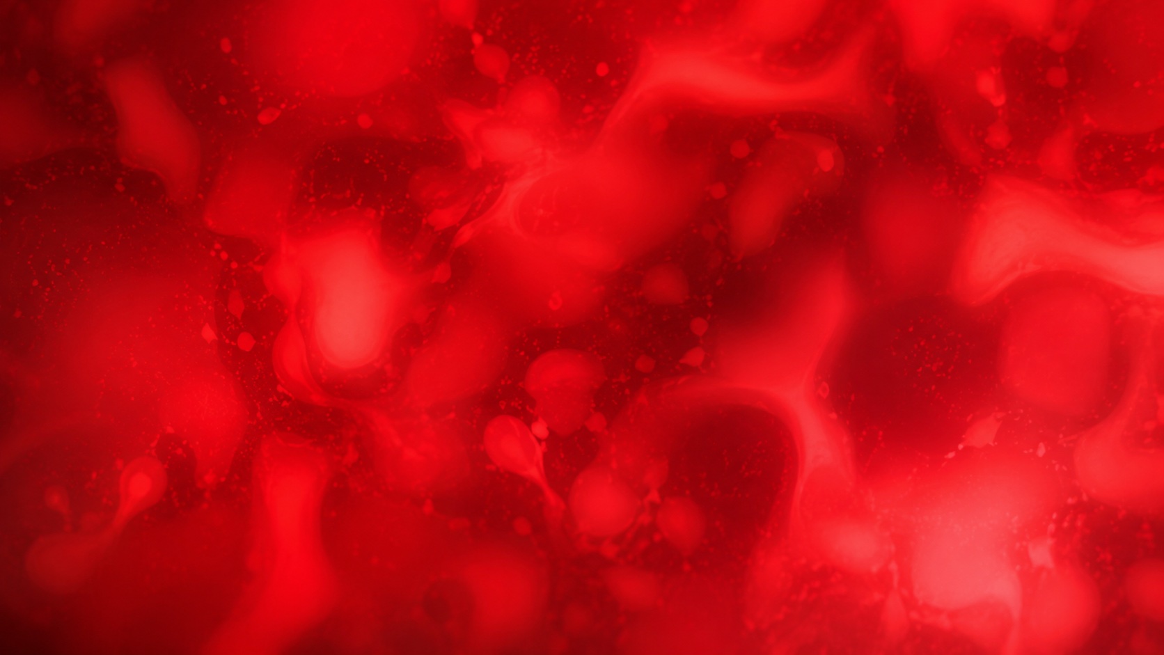 blood analysis genopalate