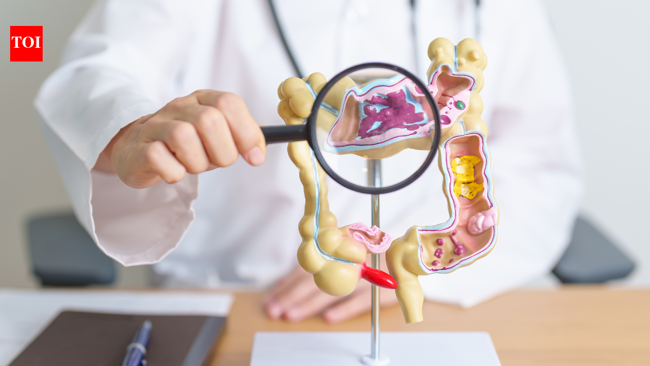 Cancer in your 30s? Why more young professionals in NCR are hearing the diagnosis earlier than ever - The Times of India 5 photo 1