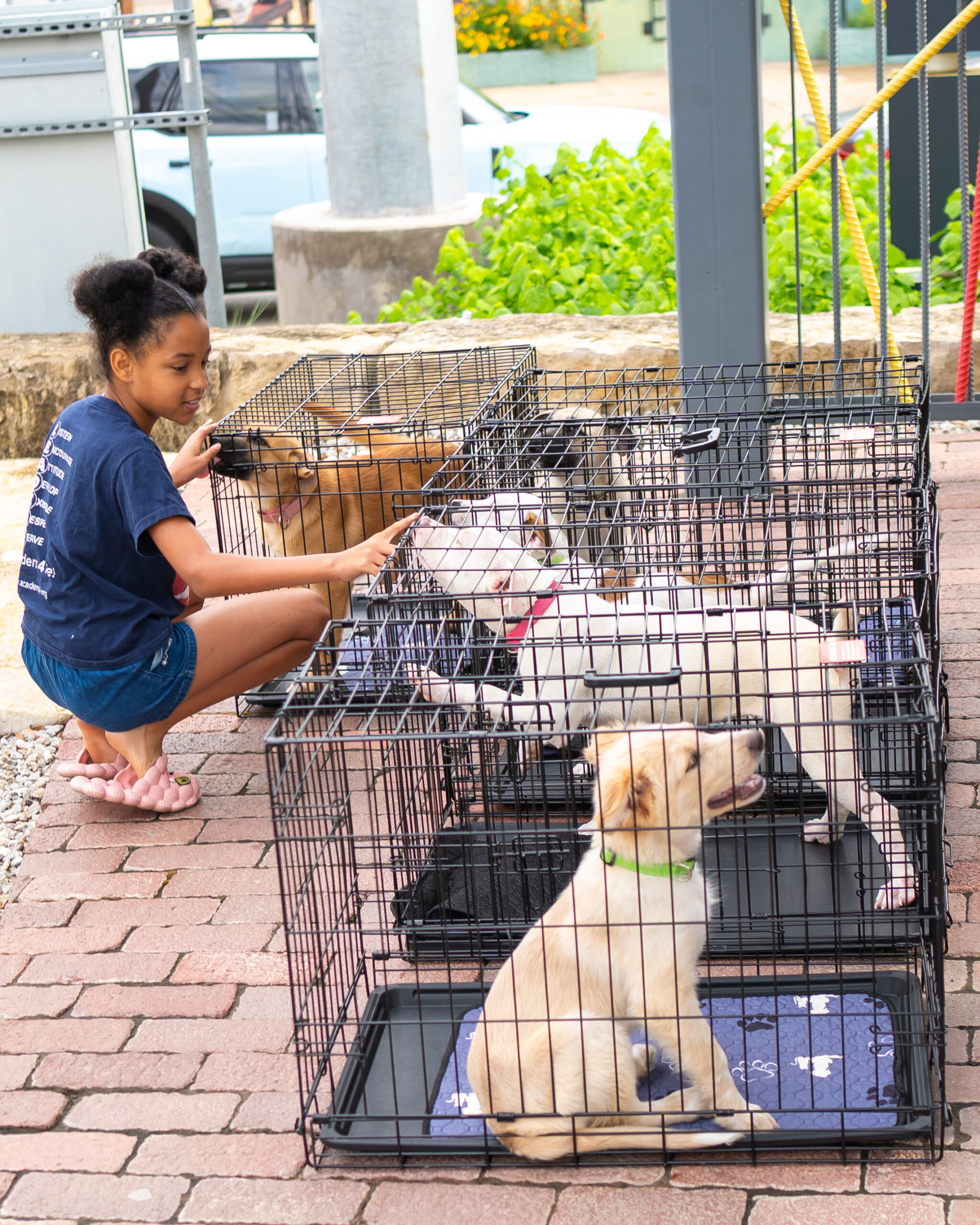 Enjoy Puppies & Pilates at Hilton Anatole July 12 2 puppies and pilates scaled 1